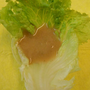 Salatsauce Italienische Art  hausgemacht  40 gr.