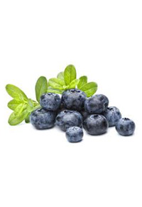 Ribolis Früchtli Tee Heidelbeer / Hibiscus